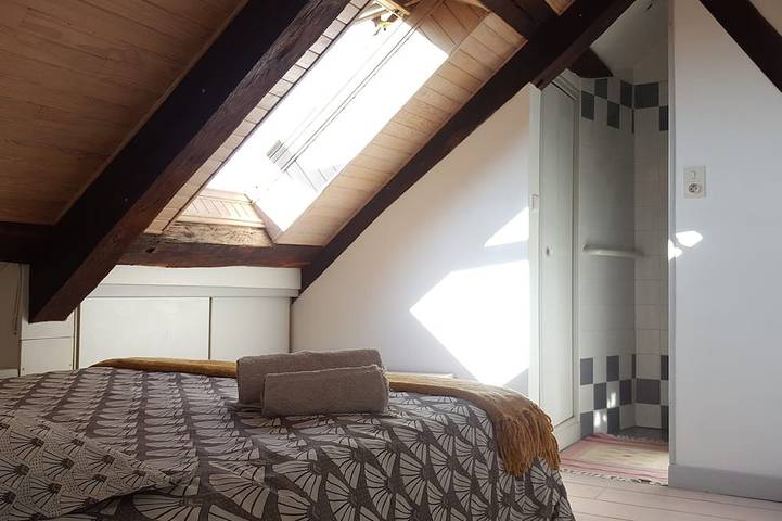 Ganze Wohnung, Hervorragender Triplex im Hyperzentrum von Rodez in Rodez, Aveyron