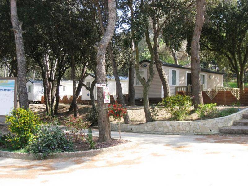 Camping Buffalo Hacienda in La Seyne-sur-Mer, Côte méditerranéenne (France)