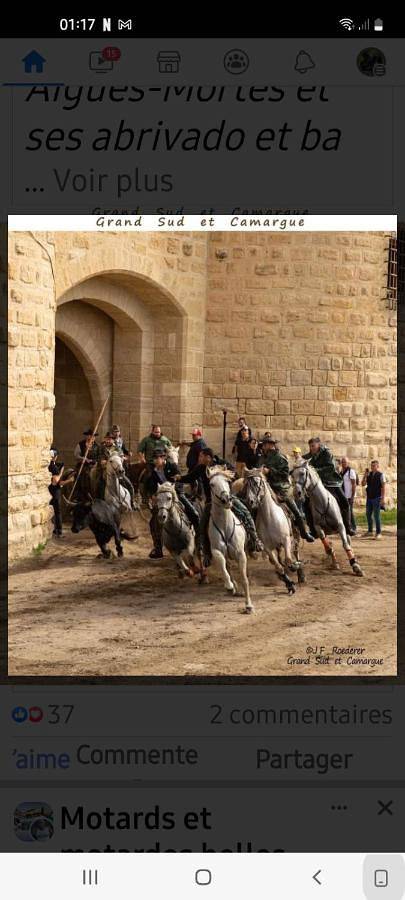 Gîte pour 2 personnes, avec terrasse à Saint-Laurent-d'Aigouze - 2