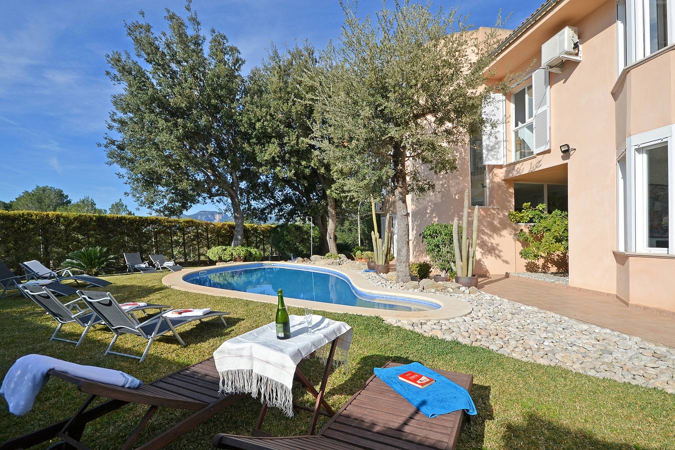 Cactus in Inca, Majorca Center