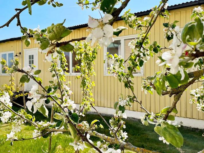 Ferienhaus für 5 Personen, kinderfreundlich in Gotland - 2