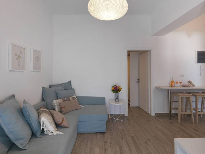 Appartement entier, 1L · Athenian 2bdr apartment with sunny in Section centrale d'Athènes, Athènes