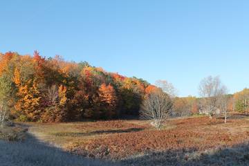 Lake House for 8 Guests in Lake Michigan, Michigan, Picture 2