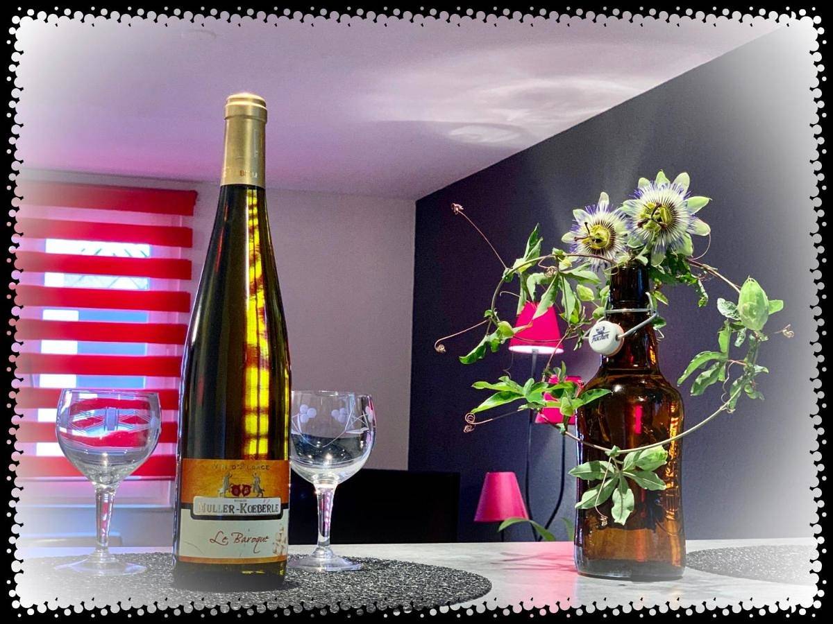 Appartement entier, Résidence des lentilles in Schiltigheim, Région de Strasbourg