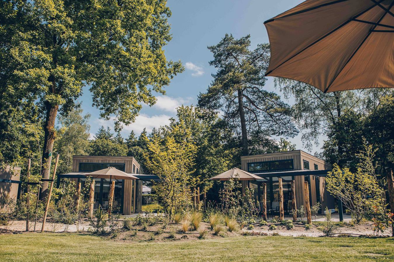 Veluwepark de Bosgraaf — Reeëndal Lodge Comfort | 4 Personen  in Veluwe
