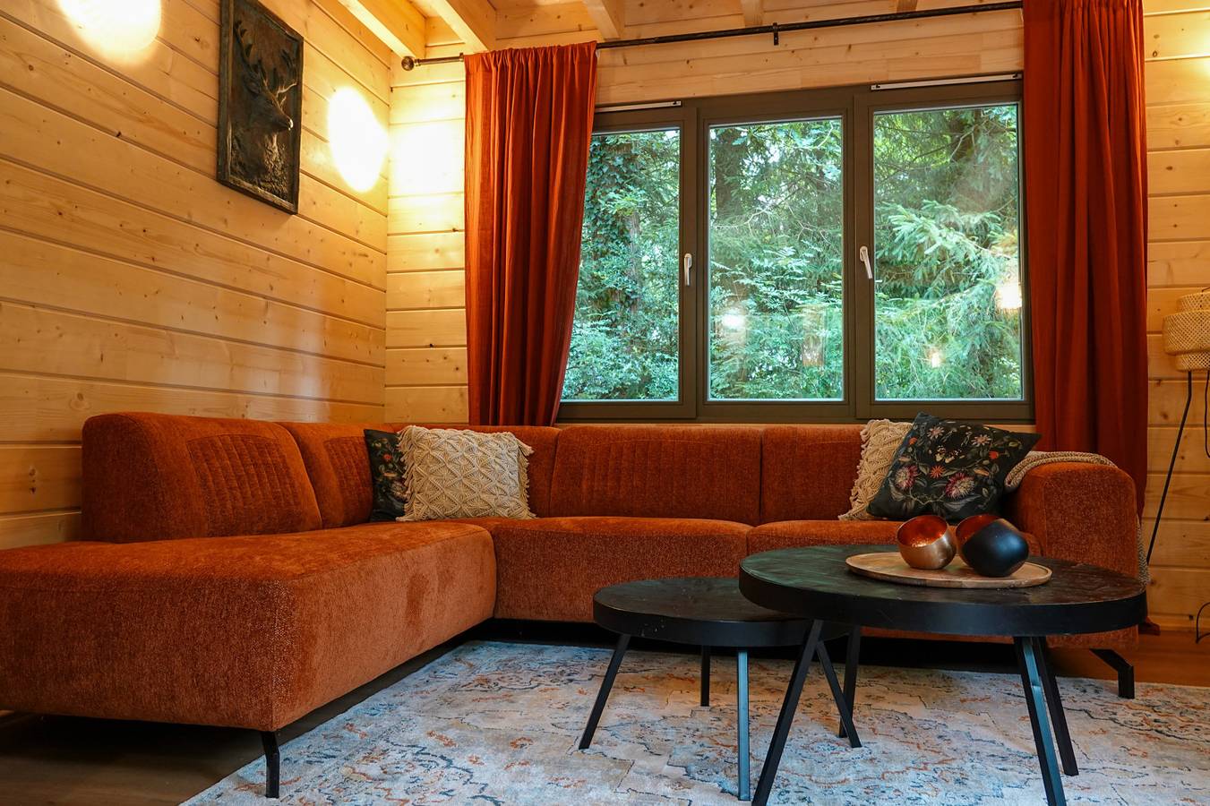 Komfortables Waldhaus für 6 Personen mit Infrarotsauna und großzügigem Garten in Norg in Drenthe