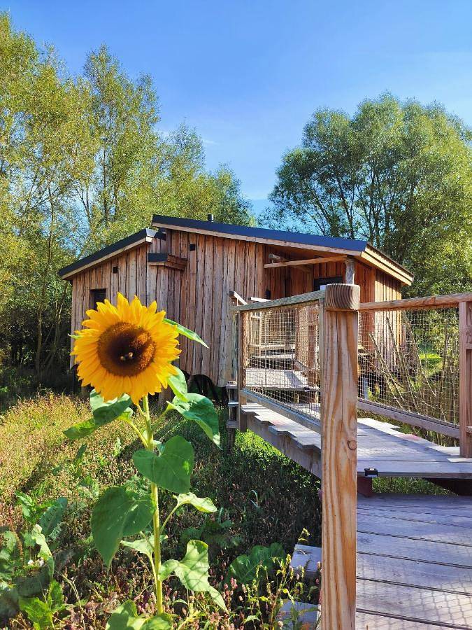 La Cabane d'Ode in Sainte-Ode, Région de Bastogne