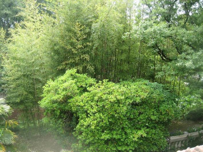 Gîte pour 4 personnes, avec piscine et jardin à Durfort-et-Saint-Martin-de-Sossenac - 4