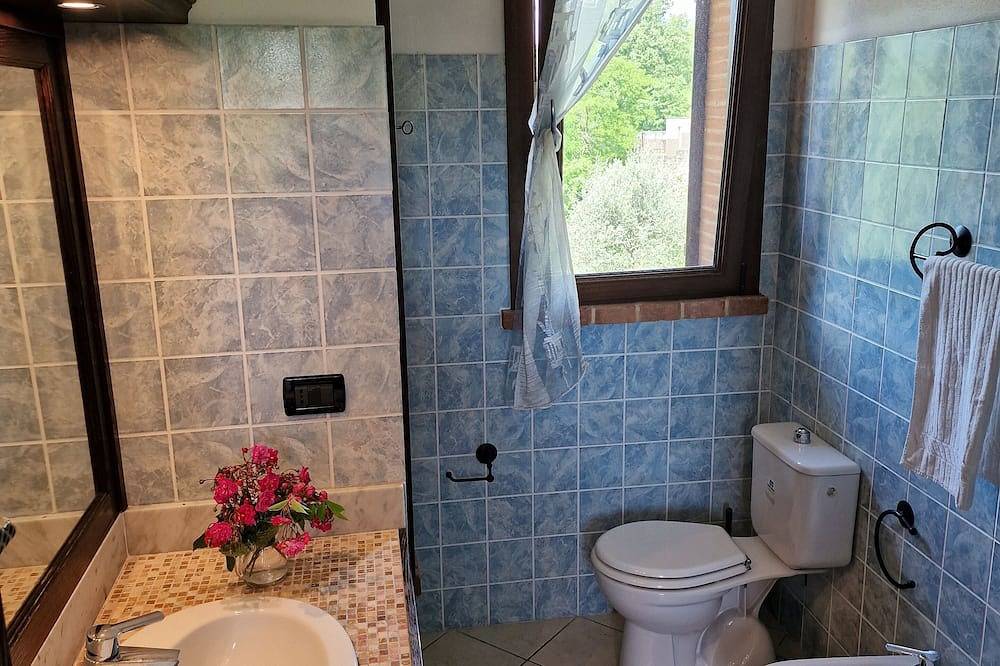 2 Apartments Rented Together With Private Pool, Sleeps 9, Walk to Restaurants in San Romano in Garfagnana, Garfagnana