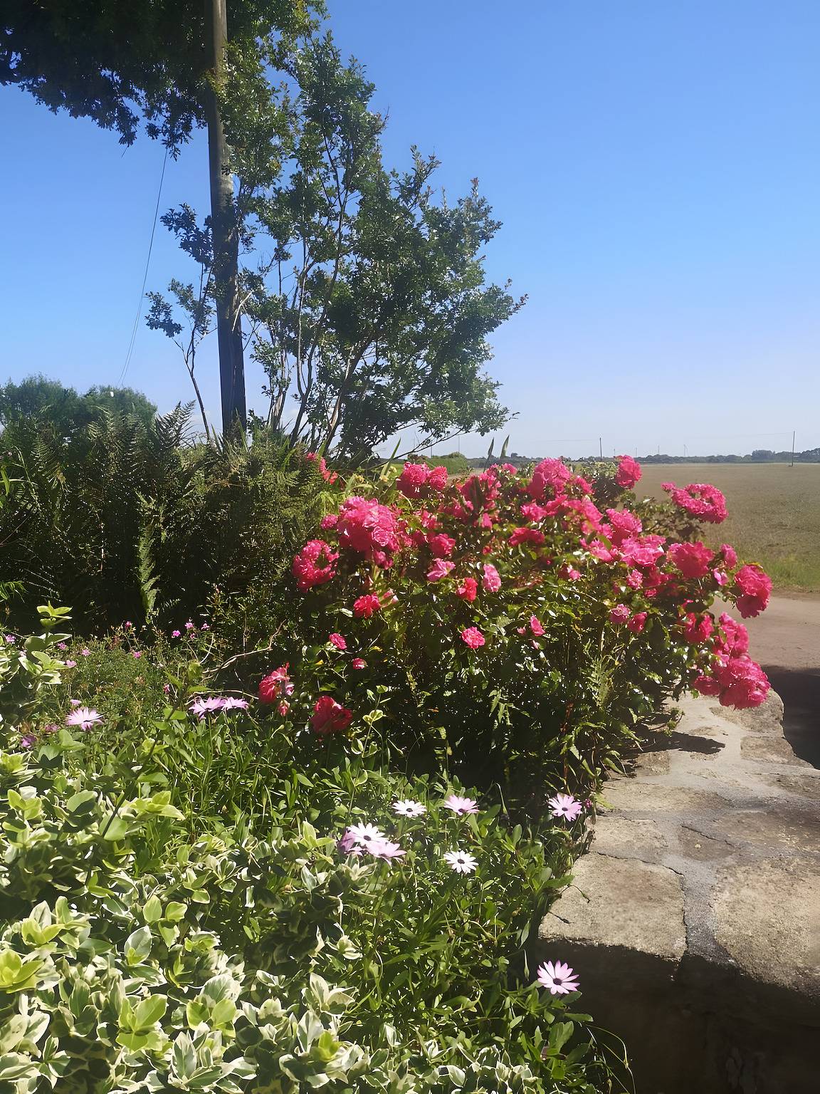 Maison de vacances 'Plain-pied' avec terrasse privée, jardin partagé et Wi-Fi in Mahalon, Région de Quimper