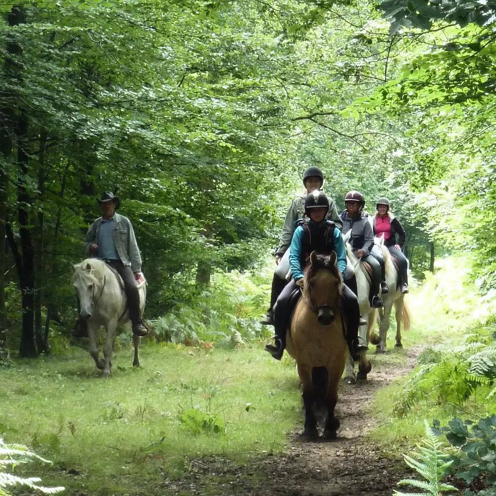 Gîte de France 5 personnes in Arelaune-en-Seine, Région de Rouen