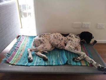 Holiday Home for 7 People in Cowes (Victoria), Philip Island, Photo 4