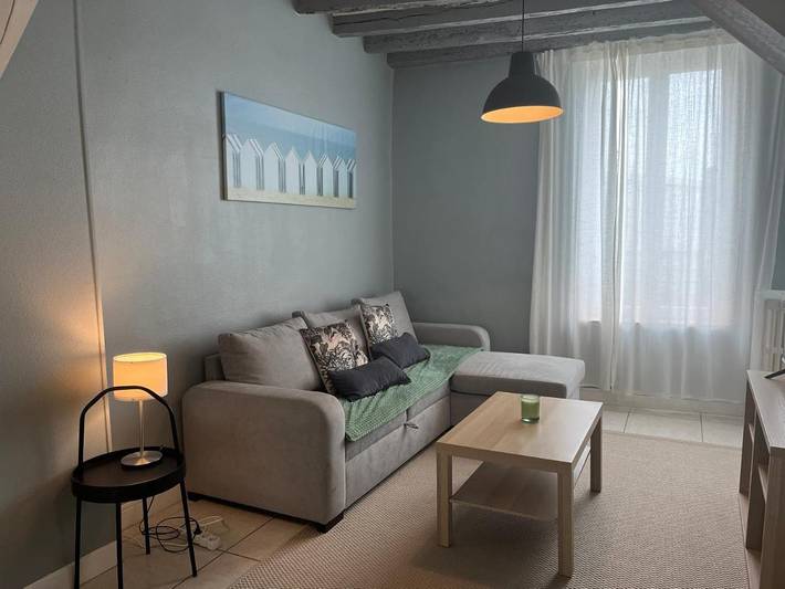 Location de vacances pour 8 personnes, avec Terrasse et Jardin à Vierzon - 4