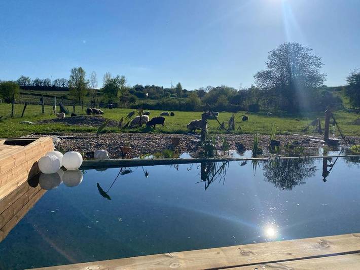 Chambre d’hôte pour 2 personnes, avec piscine et jardin dans Port de Bourg-sur-Gironde - 4