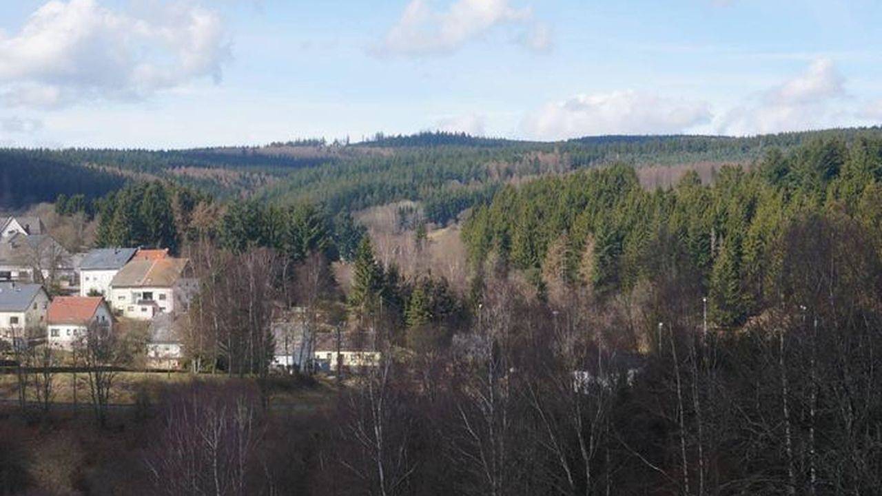 Ganze Ferienwohnung, Ferienwohnung für 2 Personen (100 m²) in Neuhütten in Neuhütten, Landkreis Trier-Saarburg
