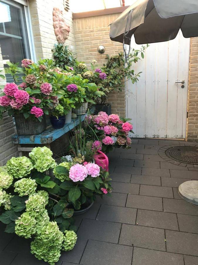Ferienwohnung für 2 Personen, mit Terrasse in Telgte - 4