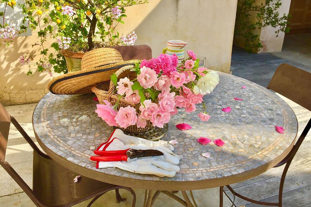 Charming villa in Camargue with private pool in Port-Saint-Louis-du-Rhône, Arles region