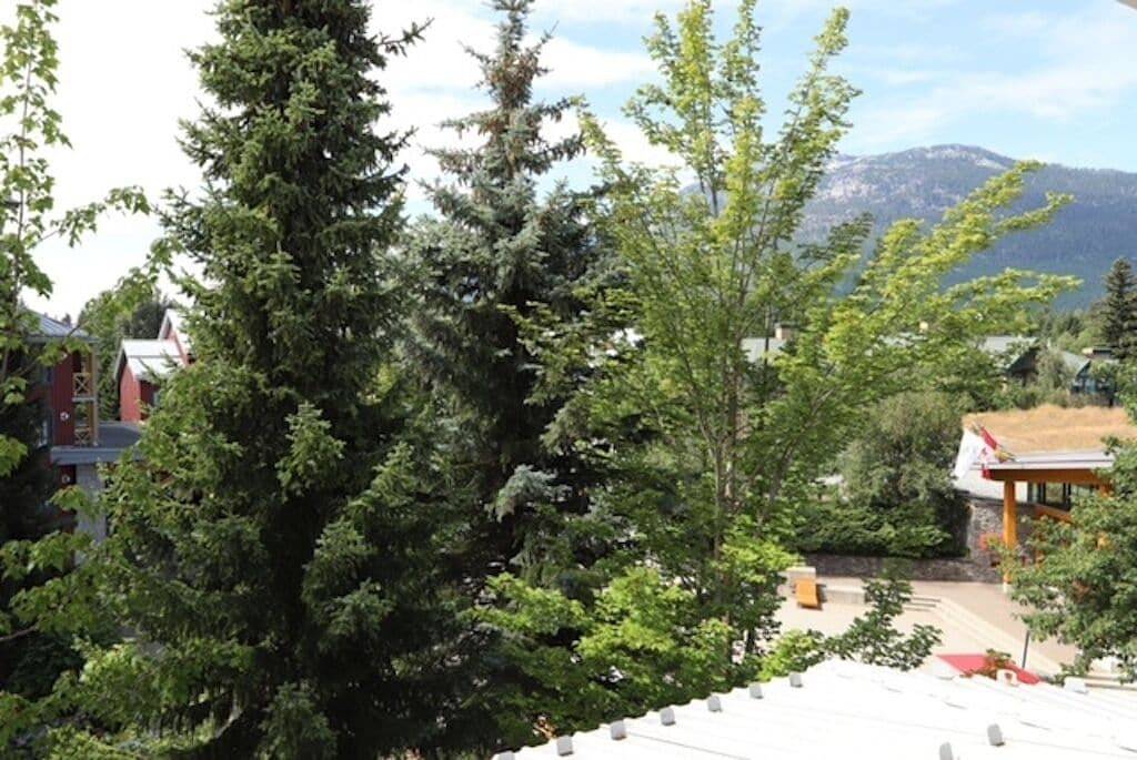 Ganze Wohnung, Stunning Deer Lodge Condo in Town Centre at the Olympic Rings in Whistler, Whistler Blackcomb