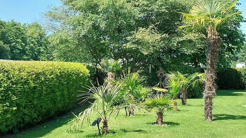 Ferienhaus für 4 Personen, mit Garten in Naturpark Lahn-Dill-Bergland - 3