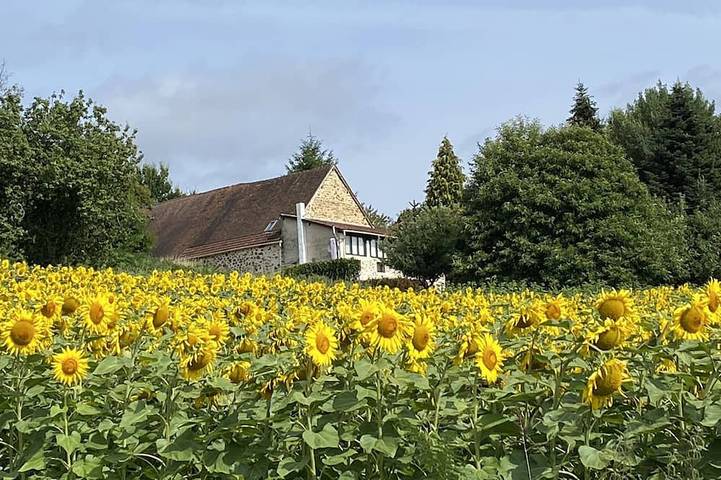 Maison de vacances pour 4 personnes, avec terrasse et jardin