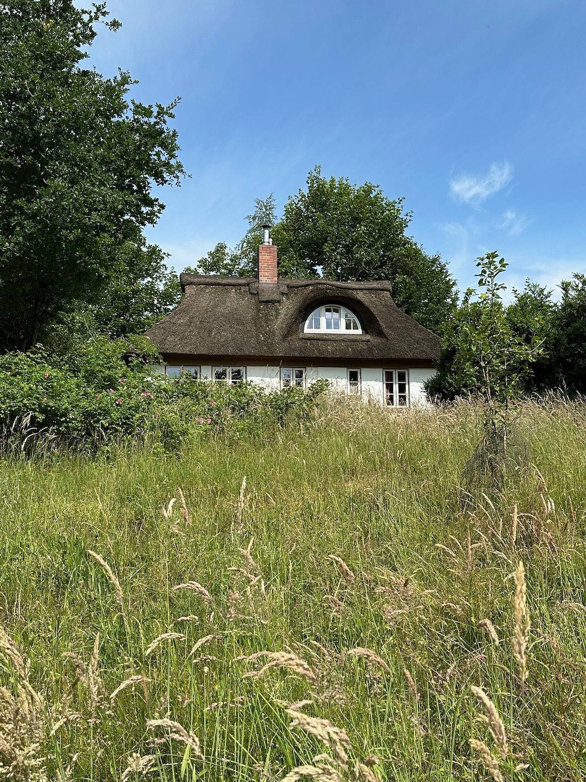 Holiday Home 'Kate Unter Reet Im Grünen' with Private Terrace, Private Garden and Wi-Fi in Buchholz (Dithmarschen), Michaelisdonn and surroundings