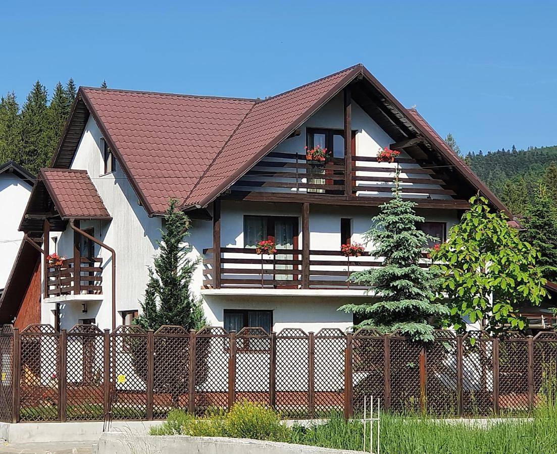Vila Flora în Gura Humorului in Carpathians
