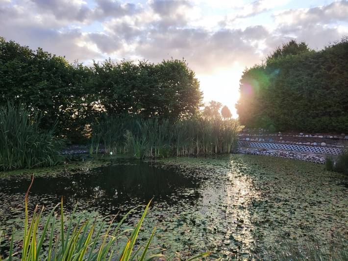 Ferienhaus für 5 Personen, mit Garten an der Müritz - 3