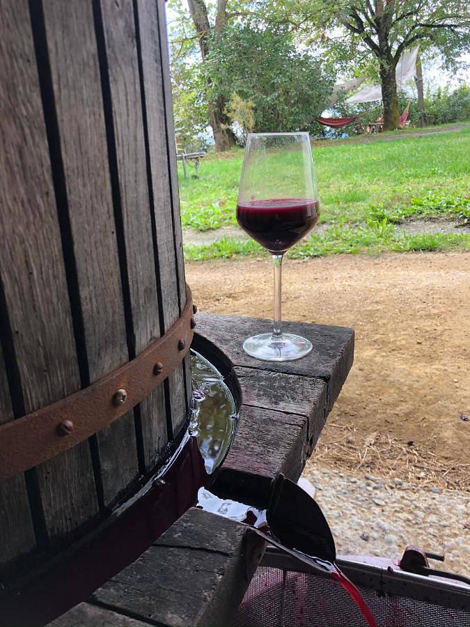 Appartement entier, Gîte les vignes de pich in Martisserre, Haute-Garonne