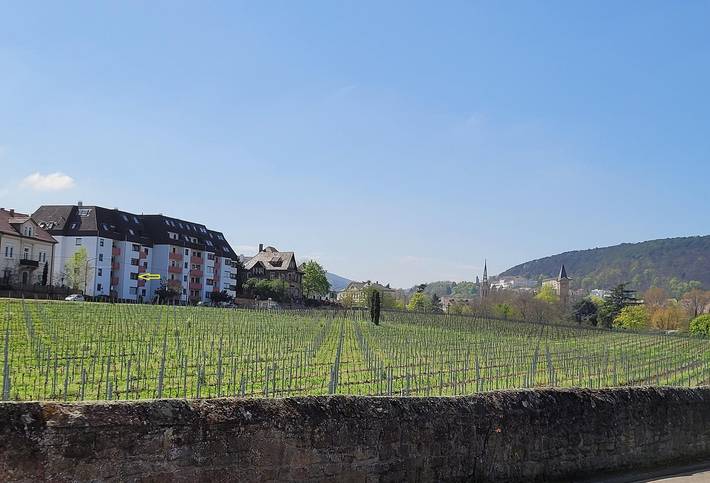 Ferienwohnung für 2 Personen, mit Balkon in Bad Dürkheim - 3