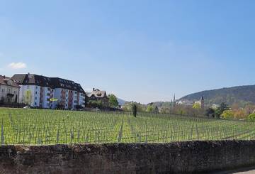 Ferienwohnung für 2 Personen in Bad Dürkheim, Pfälzer Rheinebene, Bild 2