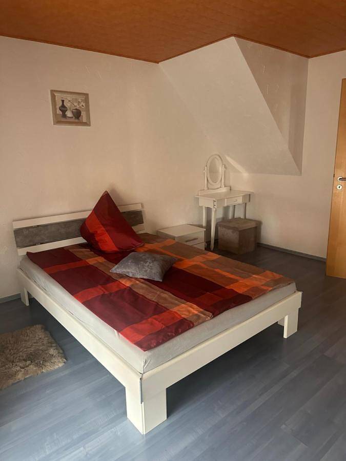 Gîte pour 7 personnes, avec terrasse à Rielasingen-Worblingen - 4