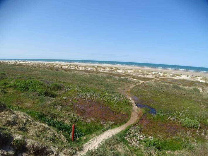 Ferienhaus für 6 Personen, mit Terrasse, mit Haustier in Tversted - 2