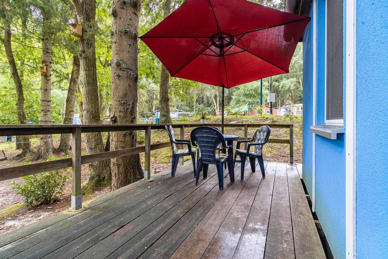 Bungalow "Zur Boje, Bgl 19" mit privater Terrasse und Wlan in Bakenberg, Dranske