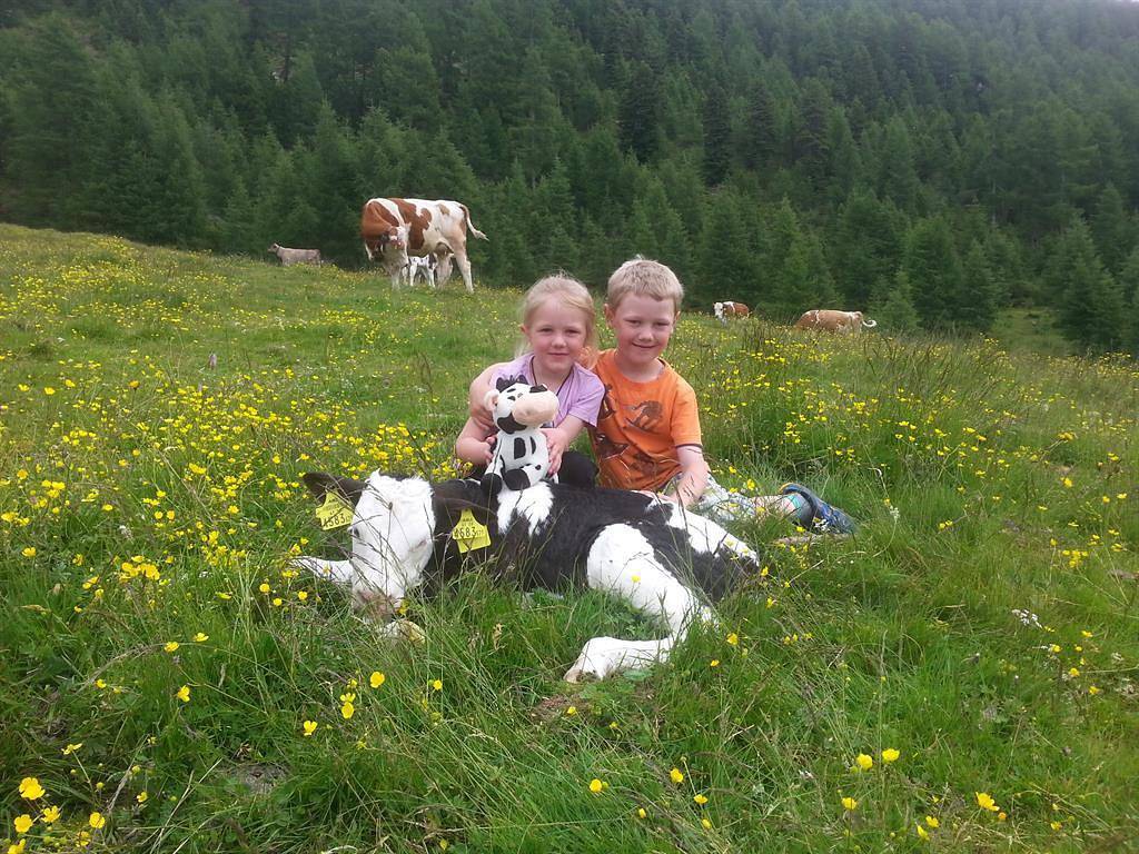 Entire holiday apartment, Almhütte Oberer Fresser in Oberkärnten