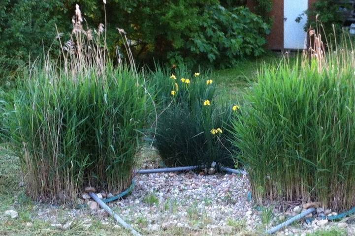 Gîte pour 4 personnes à Marzens - 3