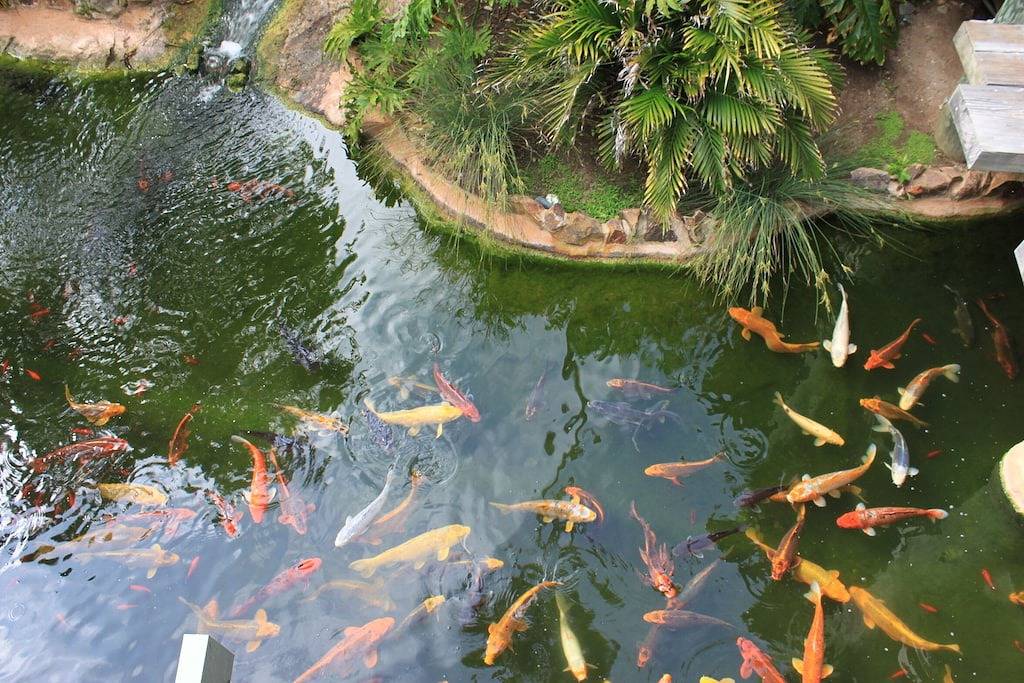 Ganze Wohnung, Luxus Breakwater Beach Pad in Oceanside, San Diego County