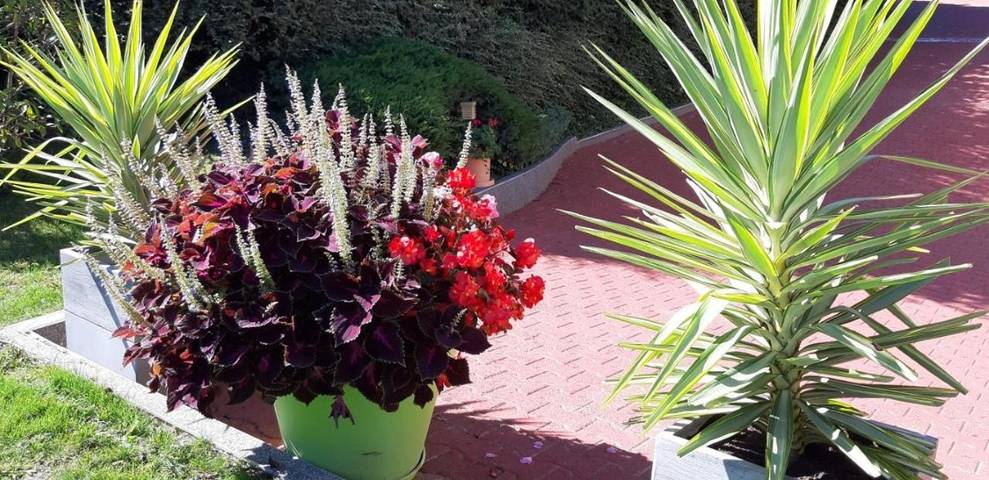 Gîte pour 4 personnes, avec jardin et vue dans Aéroport Lyon Saint-Exupéry - 4