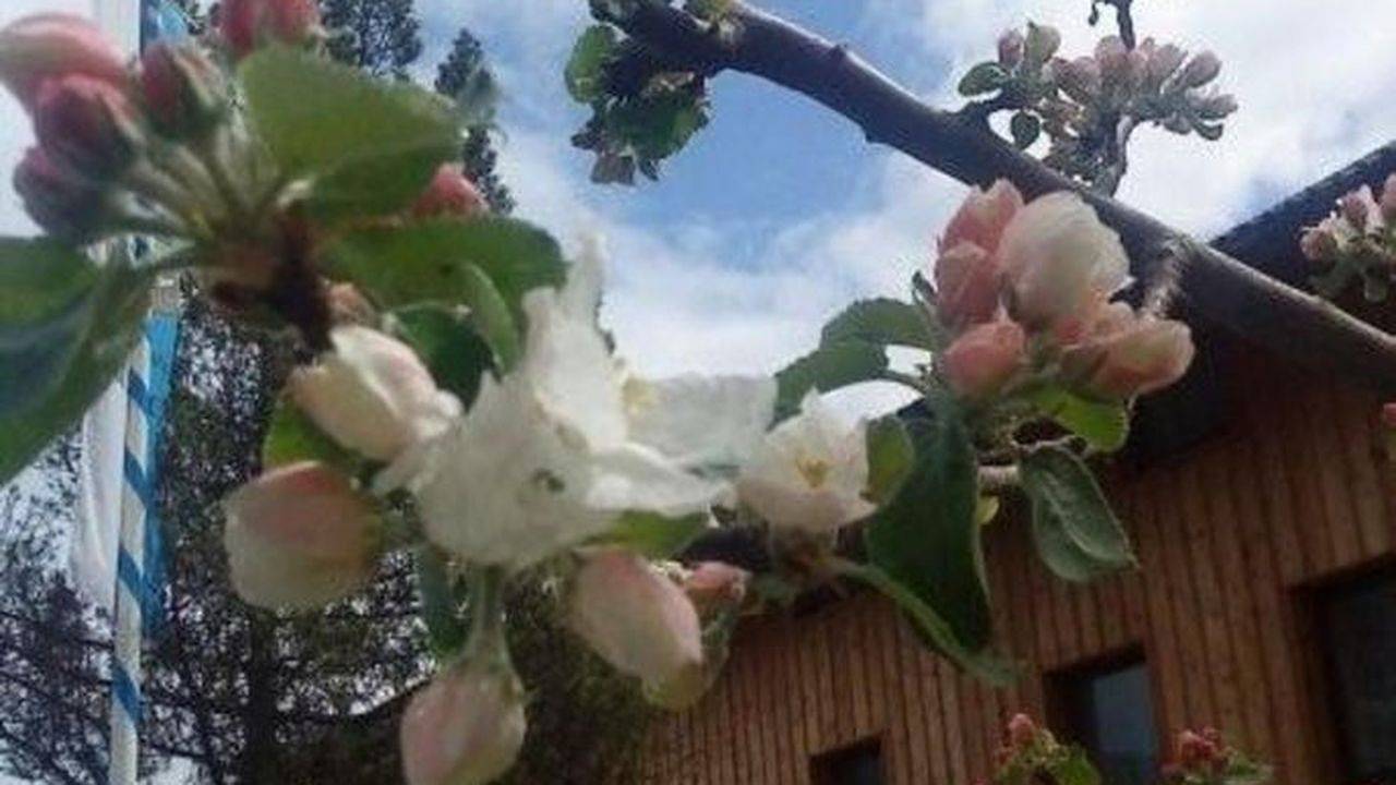 Apartamento vacacional entero, Ferienwohnung für 4 Personen (47 m²) in Schliersee in Lago Schlier, Región Alpina de Tegernsee y Schliersee