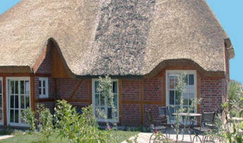 Ferienhaus für 4 Personen, mit Terrasse und Garten sowie Sauna und Seeblick, mit Haustier in Mönchgut-Granitz - 4