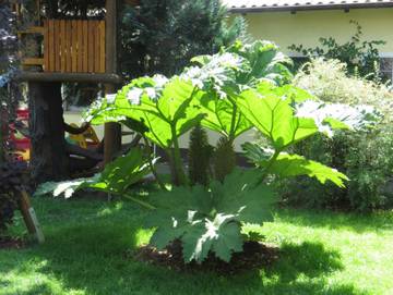Ferienwohnung für 6 Personen in Bärwalder See, Boxberg (Oberlausitz), Bild 3