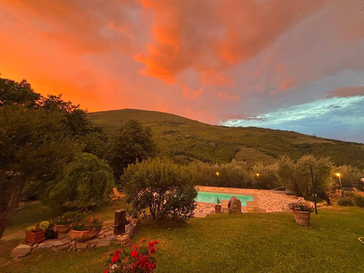 Agriturismo Campo dei Lupi in Vicopisano, Pisa Provinz