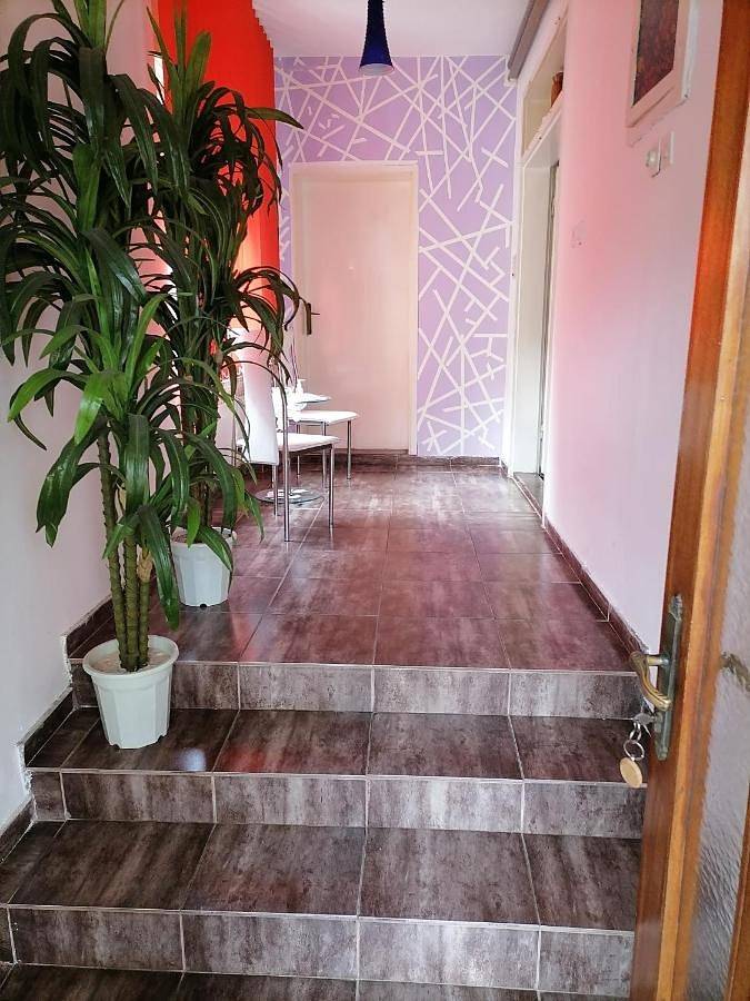 Maison d’hôte pour 2 personnes, avec terrasse et jardin, animaux acceptés dans Палић - 3