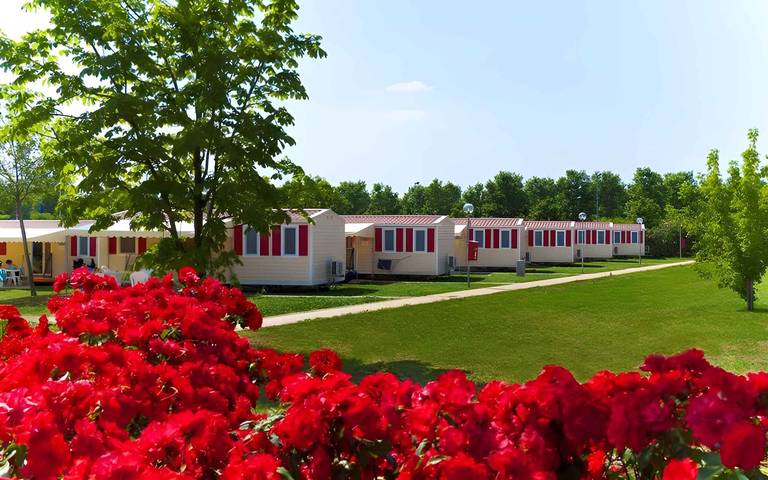 Wohnwagen für 6 Personen, mit Garten am Gardasee - 4