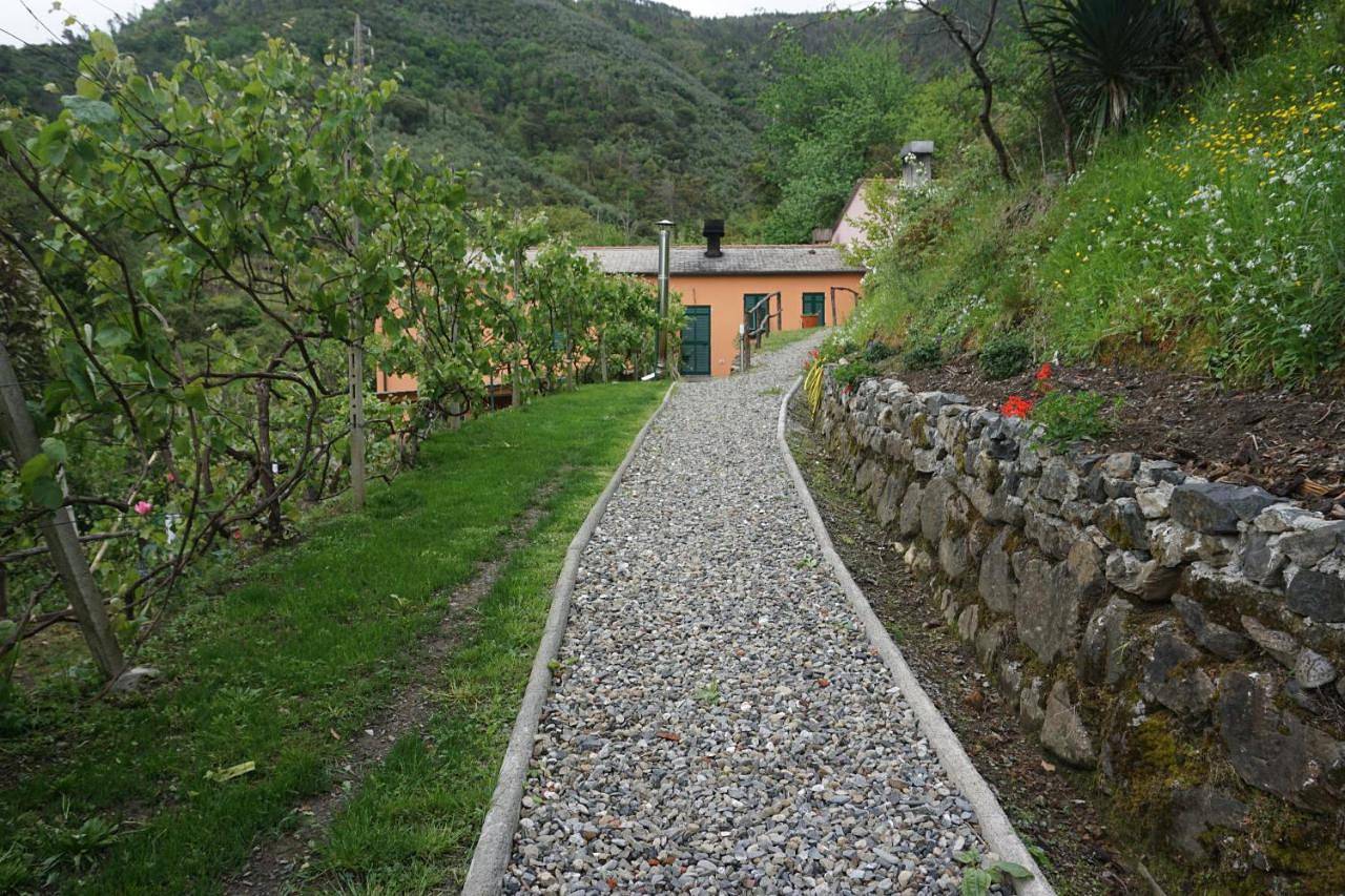 Agriturismo U muinettu in Levanto Gemeente, Riviera di Levante