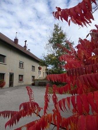 Gîte pour 11 Personnes dans Boujailles, Doubs, Photo 3