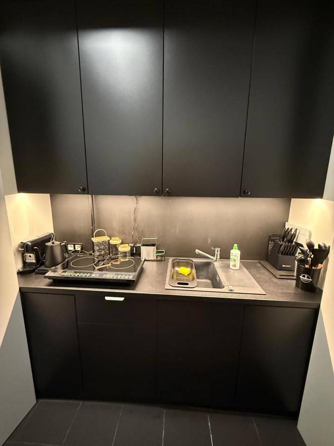 Cały apartament, Grand Business Loft Design P-65 in Łódź, Województwo łódzkie
