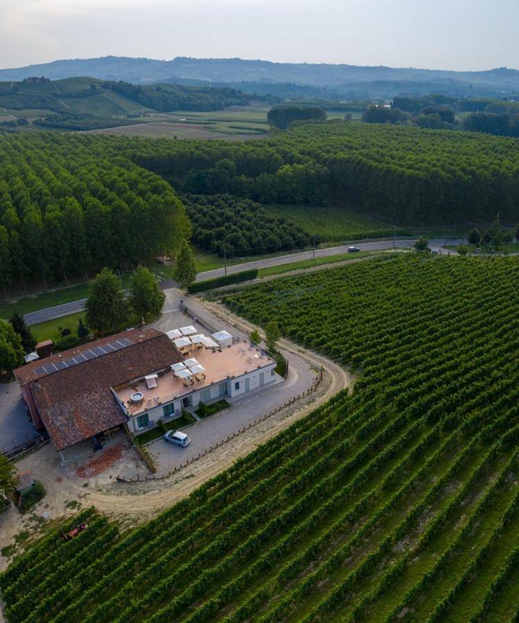 Vitae di Langa in Diano d'Alba, Langhe