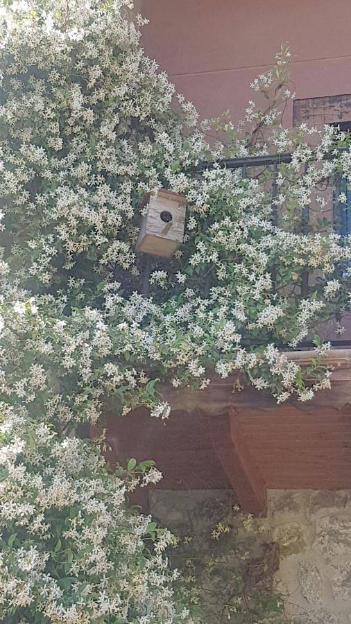 Casa de vacaciones para 10 personas, con jardín y vistas - 1
