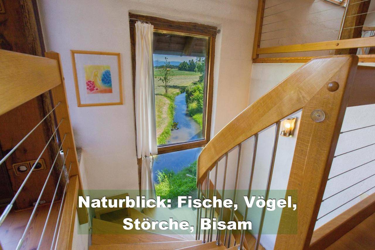 Three-Bedroom Holiday Home in Rheinau, Mittlerer Schwarzwald