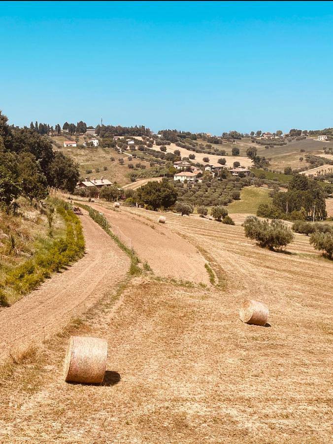 Gîte pour 6 personnes, avec vue et balcon à Mosciano Sant'Angelo - 2